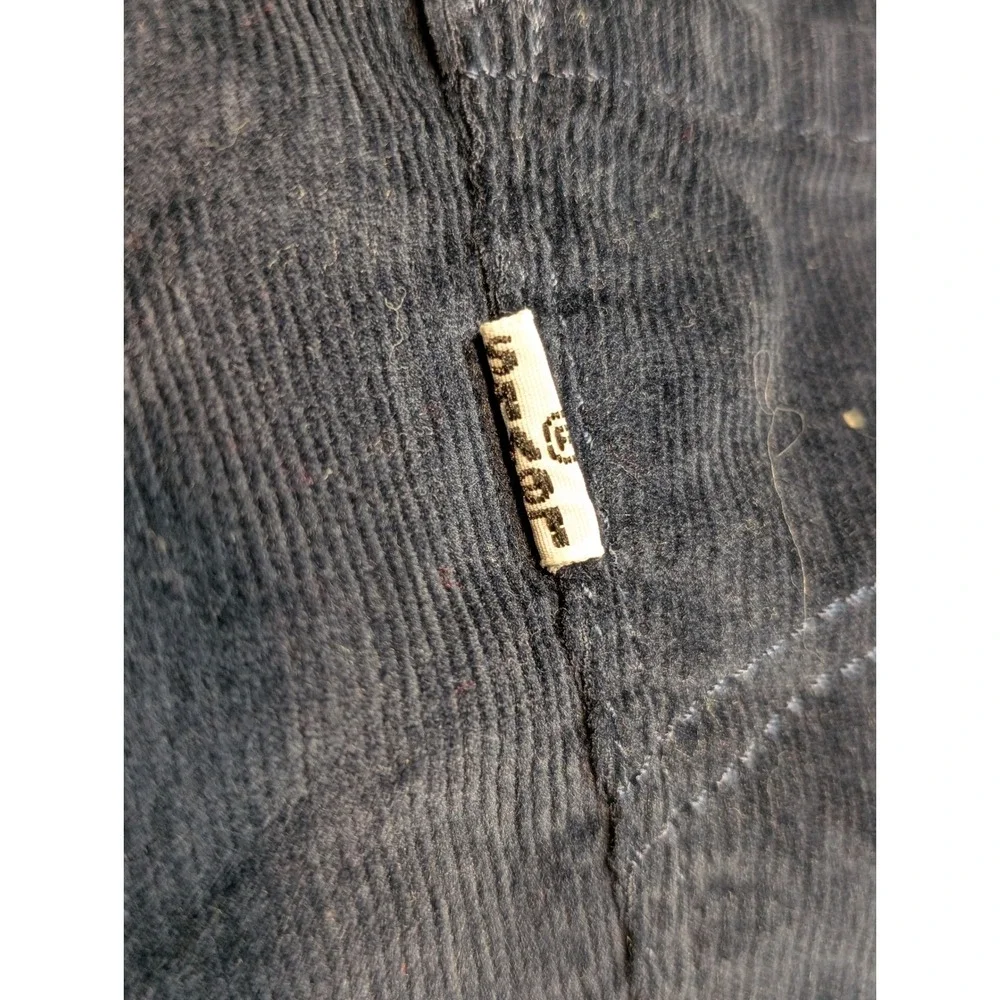Levis brand levi